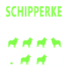 Astuces Schipperke tenaces