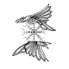 Hugin and Munin with Aegishjalmur