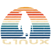 Linux pingouin vintage