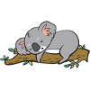 A cute koala is sleeping.