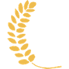 Ähre