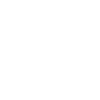 fencer