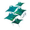 Ray Wildlife