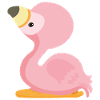 Baby flamingo