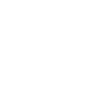 Investor