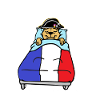 Napoleon,Schlafen,Nap-oleon,Frankreich,Nickerchen