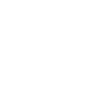 Bison
