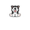 Husky Schlittenhunde