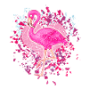 Flamant rose