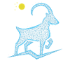 Mountain goat animal