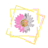 Marguerite, flower, flower