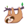 Sloth Sloth Sloth Chill Relax