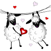Sheep goat lamb lambs sheep goat wool