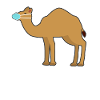 camel