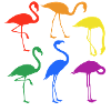 Lgbt Flamingo