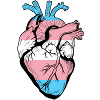 trans human heart