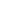 Russian Gussi geese Russia