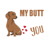 Dachshund