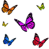 Multicoloured Monarch Butterfly set