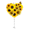 tournesol