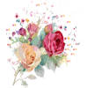 Roses