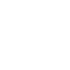 Quarter Horse Amerikkalainen jalostus Western Riding QH
