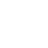 YOU LL NEVER WALK ALONE