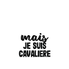 Cavalière parfaite - cheval