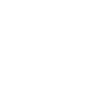 Icelandic horse