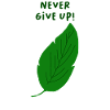 never give up