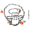 Chef Sheep