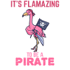 Pirate Flamazing Flamingo Gift