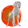 Great Dane