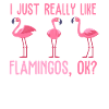 I Just Really Like Flamingos