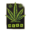 Weed cannabis leaf