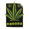 Stoner cannabis leaf