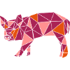 pig