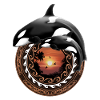 Orca killer whale