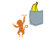 Monkey in a pocket