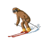 Sloth on ski - funny ski sloth