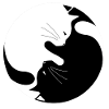 Yin et Yang avec chats