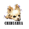 Chihuahua Longhair Comic Text