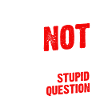 Kreuzfahrt oder nicht Kreuzfahrt Kreuzfahrtschiff