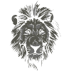I am a lion