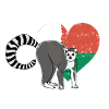 Madagascar lemur on Malagasy flag