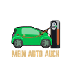 Elektroauto E-Auto Fahrer