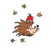 Igel