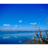 The Harvey Estuary - Square