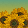 Tournesols
