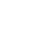 Police officer